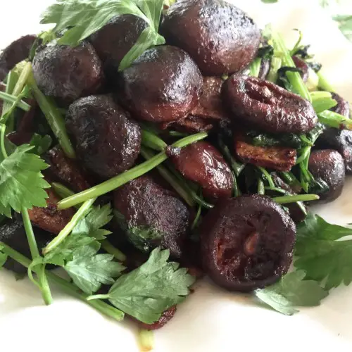 Teochew Treasure Mushrooms
