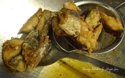 Stir Fried Fish With Bitter Gourd