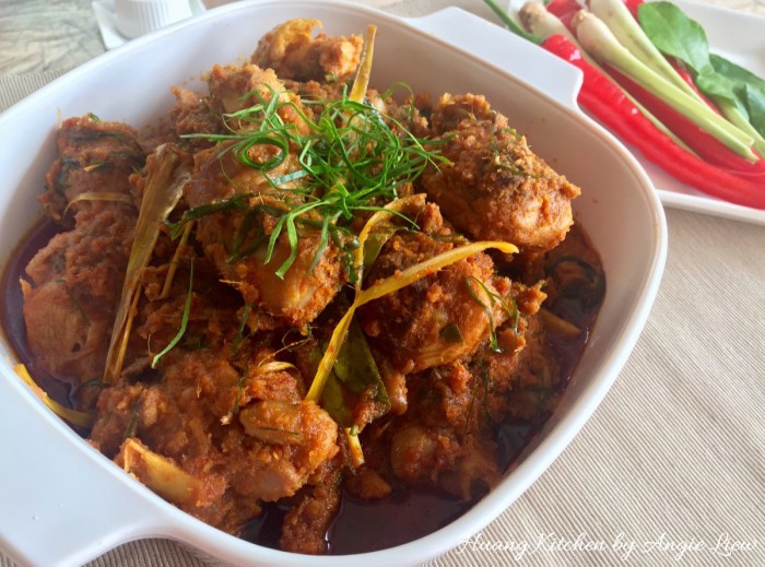 Traditional Malaysian Chicken Rendang Feature Photo 马来西亚冷当咖喱鸡