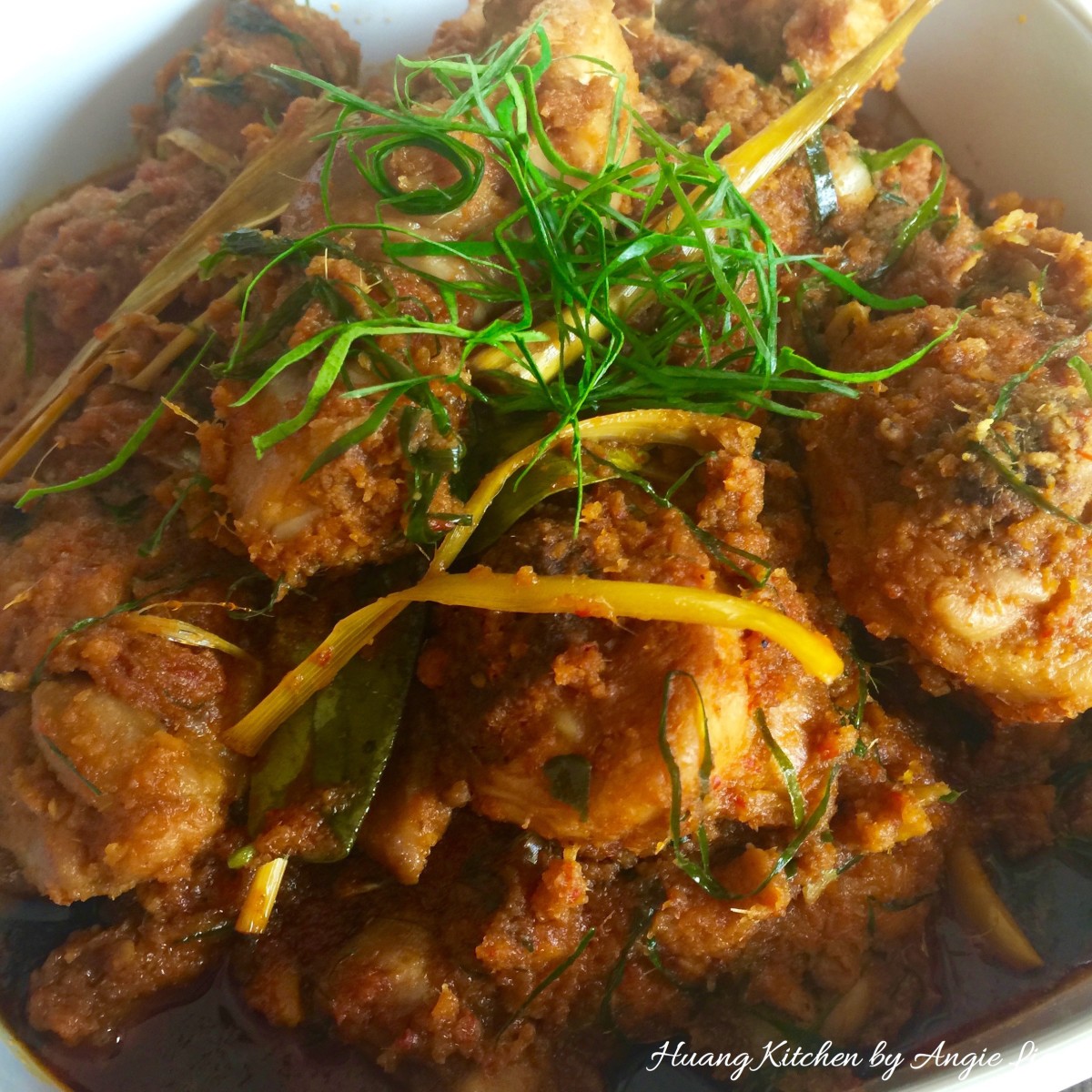 Traditional Malaysian Chicken Rendang Feature Photo 2 马来西亚冷当咖喱鸡