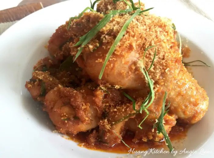 Traditional Malaysian Chicken Rendang Feature Photo 3 马来西亚冷当咖喱鸡