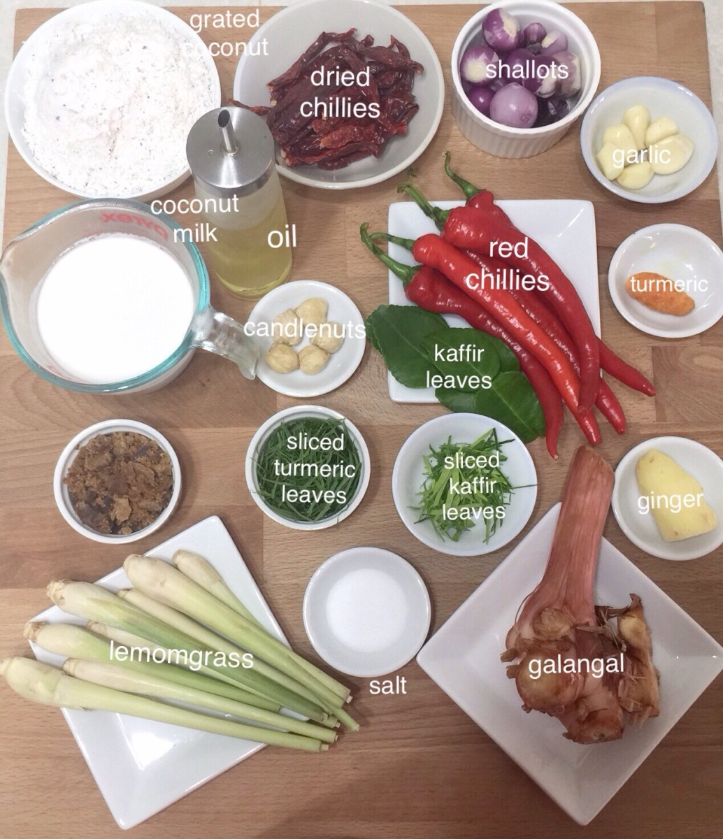 Traditional Malaysian Chicken Rendang recipe - spice ingredients