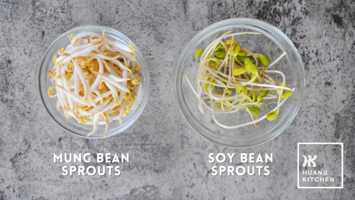 Photo of Soy Bean Sprouts vs Mung Bean Sprouts - Huang Kitchen